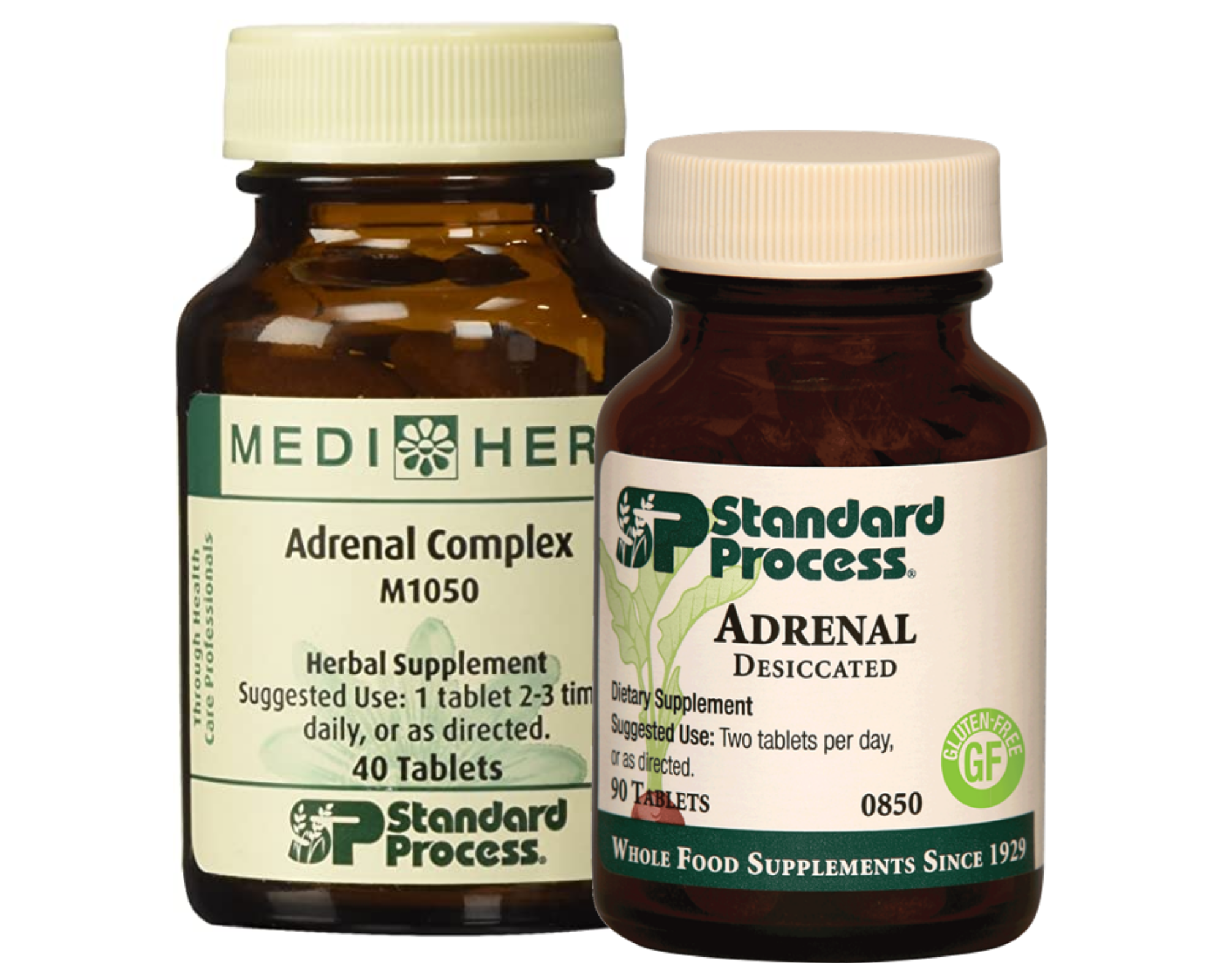 Decoding The Adrenal Gland: Understanding Its Vital Sections - kfr8nr4